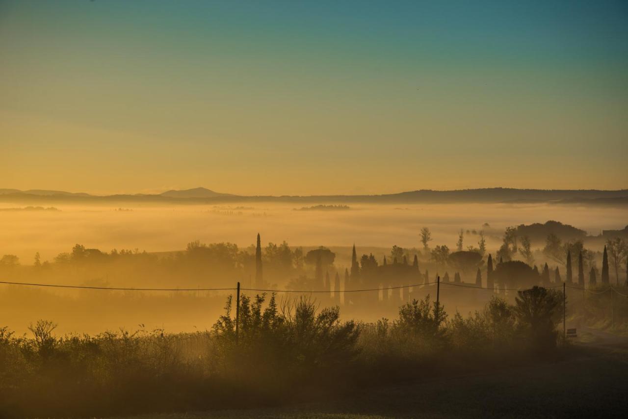 Agriturismo La Ripolina Buonconvento Buitenkant foto